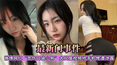 微博网红【悲伤口袋小狗】修手机惨遭大尺度视频泄露 私密内容全曝光